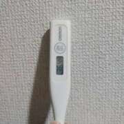 ヒメ日記 2025/04/14 09:18 投稿 志乃(しの) エッチな熟女(広島)