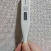 ヒメ日記 2025/07/14 09:24 投稿 志乃(しの) エッチな熟女(広島)