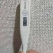 ヒメ日記 2025/07/30 09:25 投稿 志乃(しの) エッチな熟女(広島)