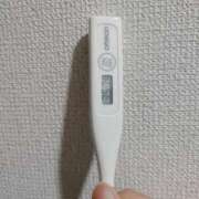 ヒメ日記 2025/07/31 09:20 投稿 志乃(しの) エッチな熟女(広島)