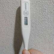 ヒメ日記 2025/08/02 09:20 投稿 志乃(しの) エッチな熟女(広島)