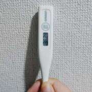 ヒメ日記 2025/10/09 09:20 投稿 志乃(しの) エッチな熟女(広島)