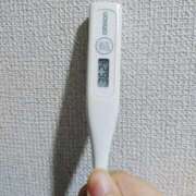 ヒメ日記 2025/12/23 09:20 投稿 志乃(しの) エッチな熟女(広島)