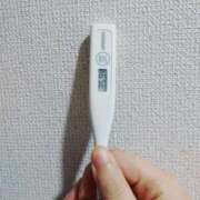 ヒメ日記 2026/01/19 09:14 投稿 志乃(しの) エッチな熟女(広島)