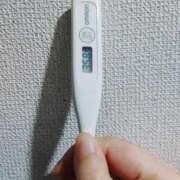 ヒメ日記 2026/02/26 09:20 投稿 志乃(しの) エッチな熟女(広島)