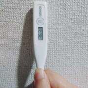 ヒメ日記 2026/03/30 09:24 投稿 志乃(しの) エッチな熟女(広島)