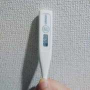 ヒメ日記 2026/04/14 09:15 投稿 志乃(しの) エッチな熟女(広島)