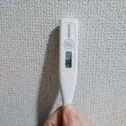 ヒメ日記 2026/04/28 09:20 投稿 志乃(しの) エッチな熟女(広島)