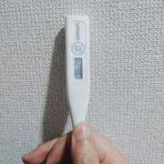 ヒメ日記 2026/05/12 09:35 投稿 志乃(しの) エッチな熟女(広島)