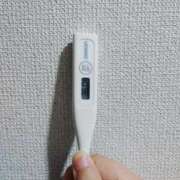 ヒメ日記 2026/06/15 09:20 投稿 志乃(しの) エッチな熟女(広島)