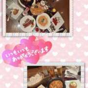 ヒメ日記 2025/02/13 01:43 投稿 木下　まき 妻の本音