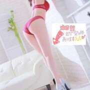 ヒメ日記 2025/02/28 16:58 投稿 木下　まき 妻の本音