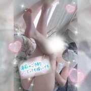 ヒメ日記 2025/03/07 07:30 投稿 木下　まき 妻の本音