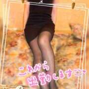 ヒメ日記 2025/04/08 18:46 投稿 木下　まき 妻の本音