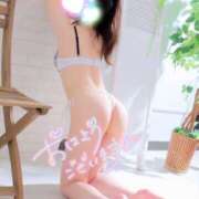 ヒメ日記 2025/04/09 09:50 投稿 木下　まき 妻の本音