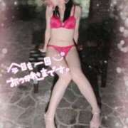 ヒメ日記 2025/04/11 17:38 投稿 木下　まき 妻の本音