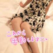 ヒメ日記 2025/04/15 17:02 投稿 木下　まき 妻の本音