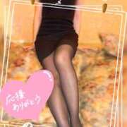 ヒメ日記 2025/05/06 11:16 投稿 木下　まき 妻の本音