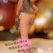 ヒメ日記 2025/05/16 03:12 投稿 木下　まき 妻の本音