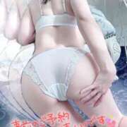 ヒメ日記 2025/06/02 08:28 投稿 木下　まき 妻の本音