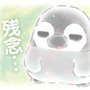 ヒメ日記 2025/06/29 02:28 投稿 木下　まき 妻の本音