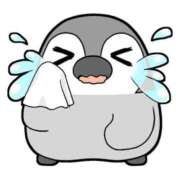 ヒメ日記 2025/07/01 01:29 投稿 木下　まき 妻の本音