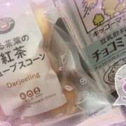 ヒメ日記 2025/07/05 10:26 投稿 木下　まき 妻の本音