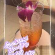 ヒメ日記 2025/07/11 03:37 投稿 木下　まき 妻の本音