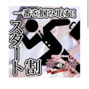ヒメ日記 2025/08/15 13:17 投稿 木下　まき 妻の本音