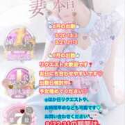 ヒメ日記 2025/08/20 13:28 投稿 木下　まき 妻の本音