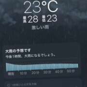 ヒメ日記 2025/09/12 23:24 投稿 木下 まき 妻の本音