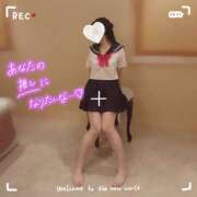 ヒメ日記 2025/10/06 10:24 投稿 木下　まき 妻の本音