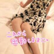 ヒメ日記 2025/10/09 12:50 投稿 木下　まき 妻の本音