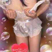 ヒメ日記 2025/10/13 19:10 投稿 木下　まき 妻の本音