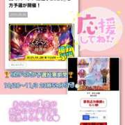 ヒメ日記 2025/10/28 14:28 投稿 木下　まき 妻の本音