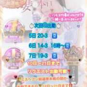 ヒメ日記 2025/11/04 23:24 投稿 木下　まき 妻の本音