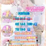 ヒメ日記 2025/11/06 07:01 投稿 木下　まき 妻の本音