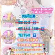 ヒメ日記 2025/11/07 03:13 投稿 木下　まき 妻の本音