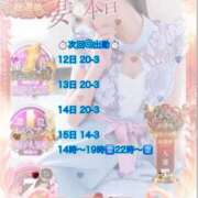 ヒメ日記 2025/11/08 03:17 投稿 木下　まき 妻の本音