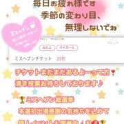 ヒメ日記 2025/11/21 12:56 投稿 木下　まき 妻の本音