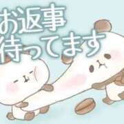 ヒメ日記 2025/11/21 17:04 投稿 木下　まき 妻の本音