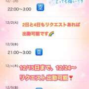 ヒメ日記 2025/11/29 16:30 投稿 木下　まき 妻の本音