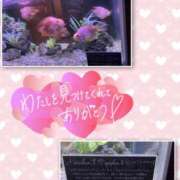 ヒメ日記 2026/02/20 17:53 投稿 木下　まき 妻の本音