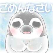 ヒメ日記 2026/02/22 22:45 投稿 木下　まき 妻の本音