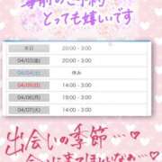 ヒメ日記 2026/04/02 03:29 投稿 木下　まき 妻の本音