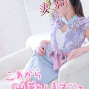 ヒメ日記 2026/04/03 19:48 投稿 木下　まき 妻の本音