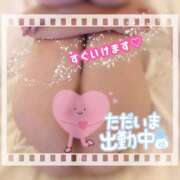 ヒメ日記 2026/04/06 19:37 投稿 木下　まき 妻の本音