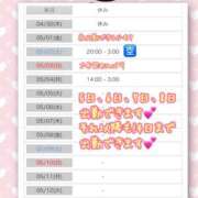 ヒメ日記 2026/04/29 14:01 投稿 木下　まき 妻の本音