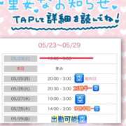 ヒメ日記 2026/05/24 09:09 投稿 木下　まき 妻の本音