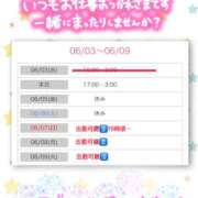 ヒメ日記 2026/06/04 03:53 投稿 木下　まき 妻の本音